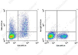 Anti-Mouse TNF-α Antibody [XT3.11] - ABMIUM