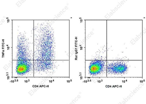 Anti-Mouse TNF-α Antibody [XT3.11] - ABMIUM