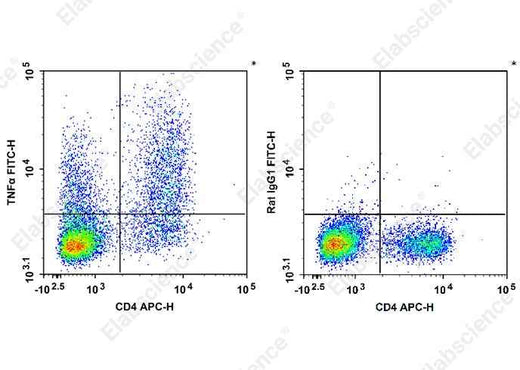 Anti-Mouse TNF-α Antibody [XT3.11] - ABMIUM