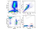 Human peripheral blood lymphocytes are stained with Anti-Human CD3-FITC/CD4-PE/CD8a-PE-Cyanine7/CD45-PerCP.